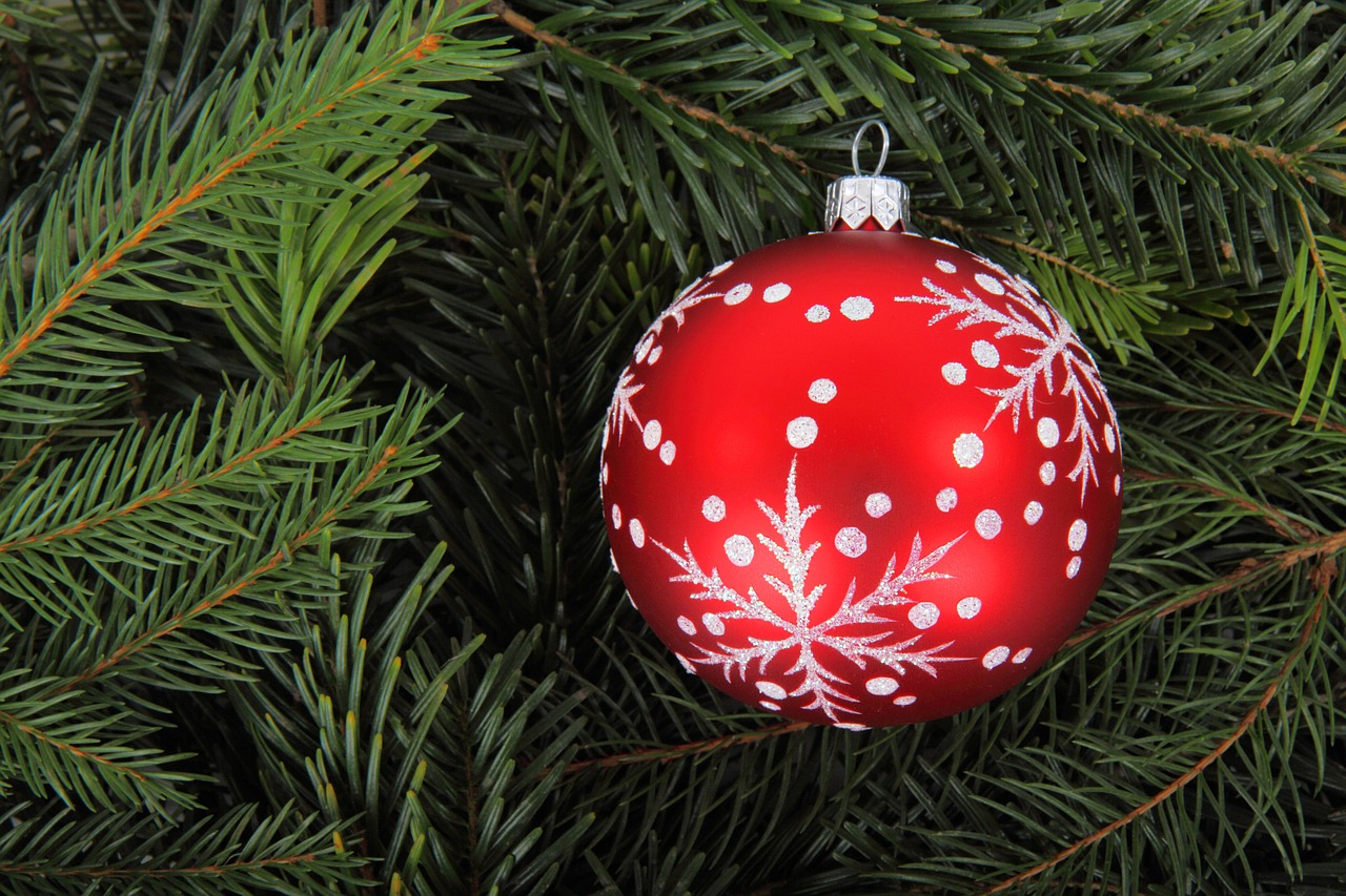 Pallina rossa su albero di natale