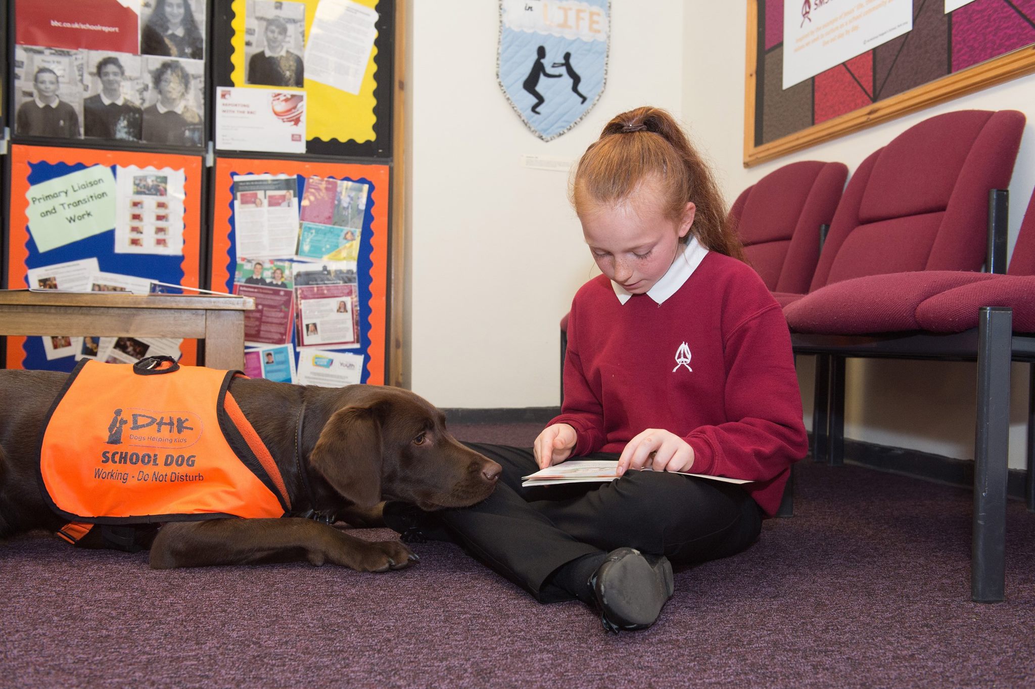 Bambina che studia in compagnia di un cane