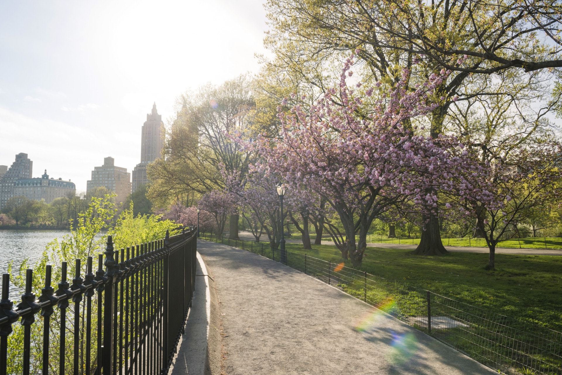 Central park in primavera