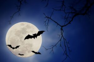 Pipistrelli davanti alla luna piena