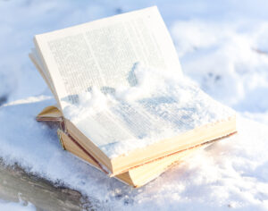 Libri sulla neve