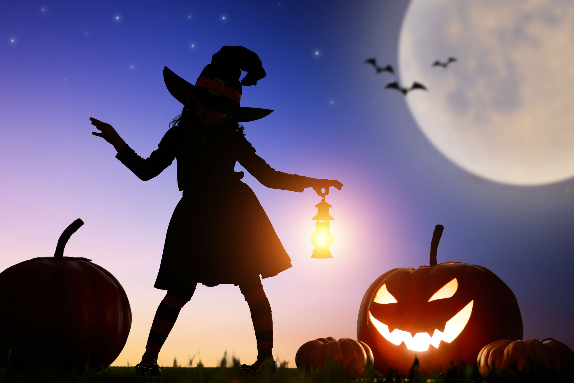 illustrazione streghetta con zucche di halloween