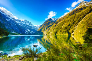 Paesaggio Nuova Zelanda