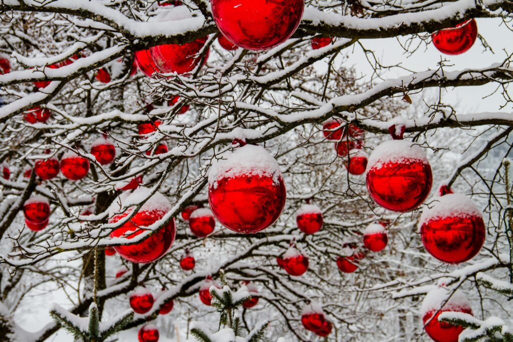 rami di alberi innevati con palline rosse