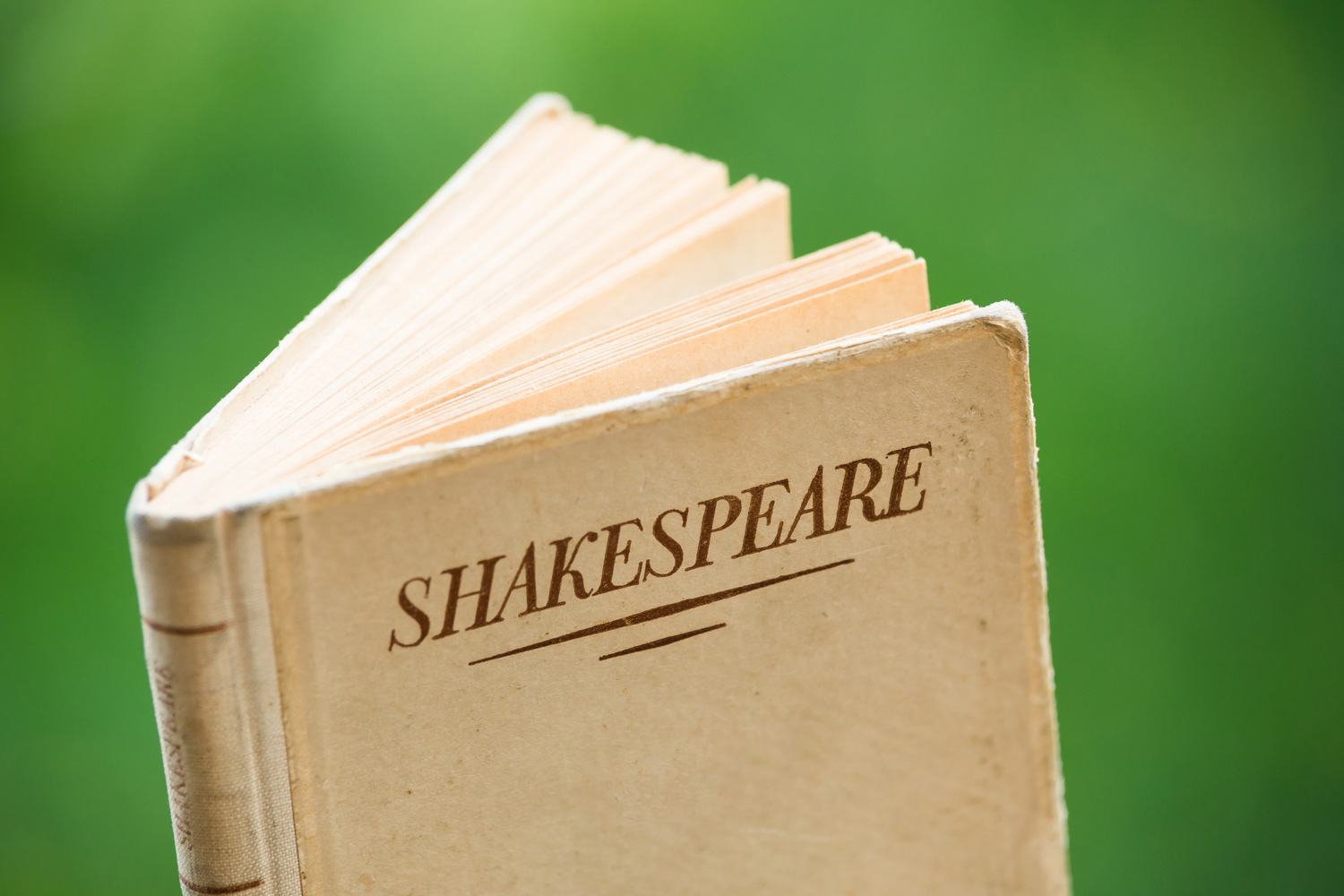 Libro di Shakespeare