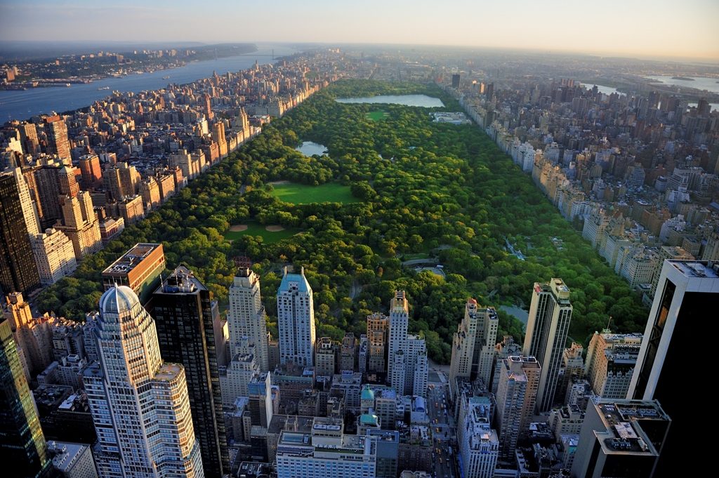 vista di central park dal drone