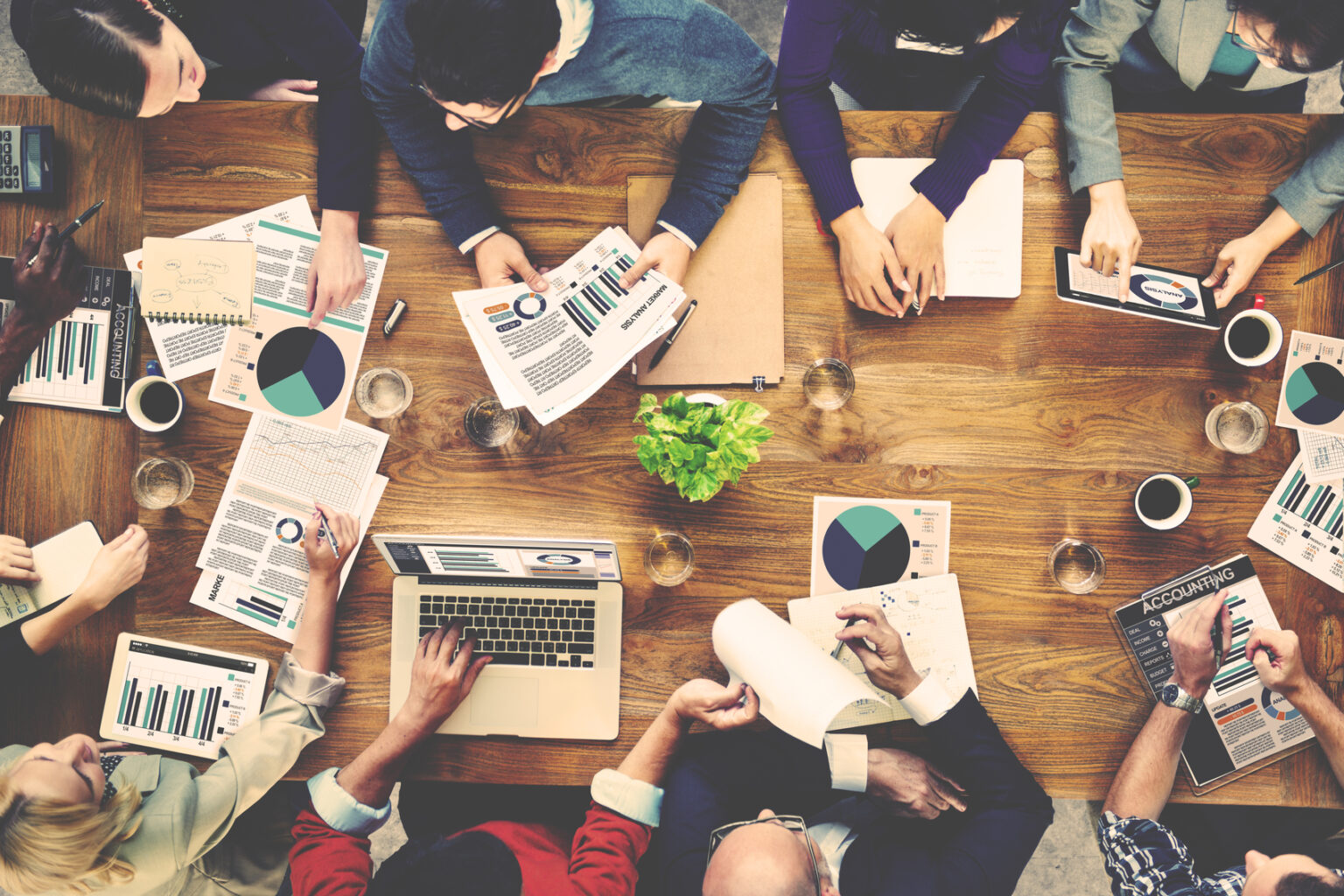 Trovare Lavoro Con Le Lingue Tutte Le Carriere MLA Move Language Ahead