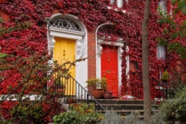 Porte colorate Dublino con foglie rosse Estate INPSieme