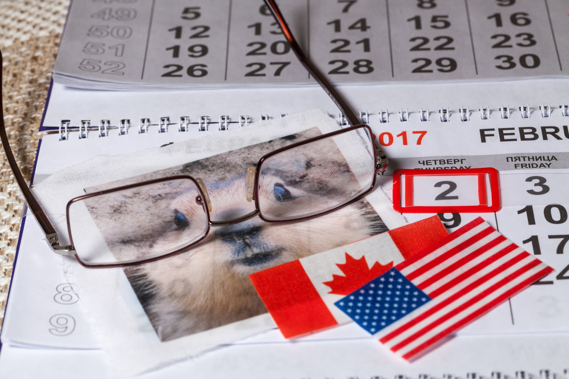 Calendario giorno della marmotta e bandiera USA E Canada