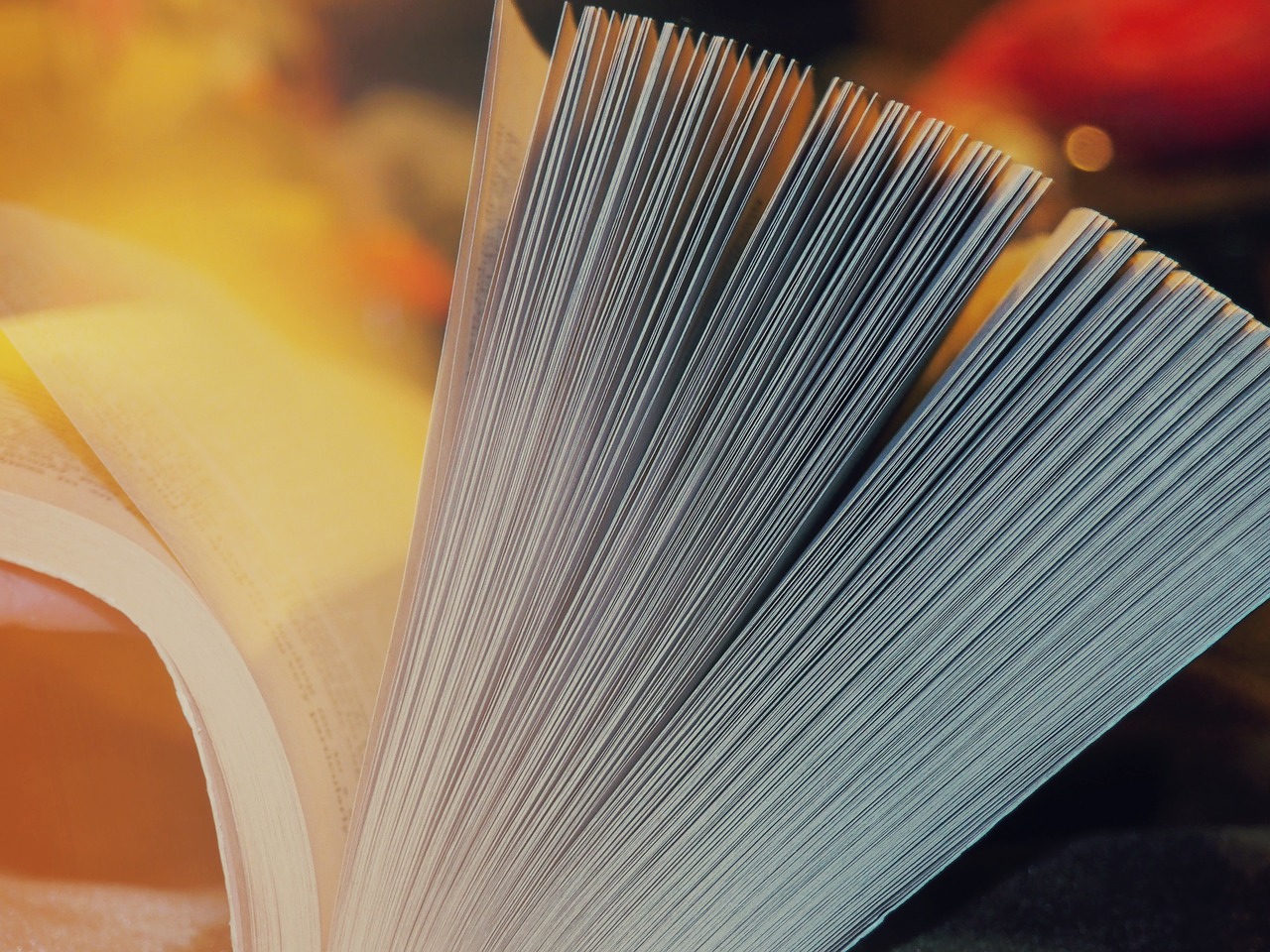 libro da sfogliare