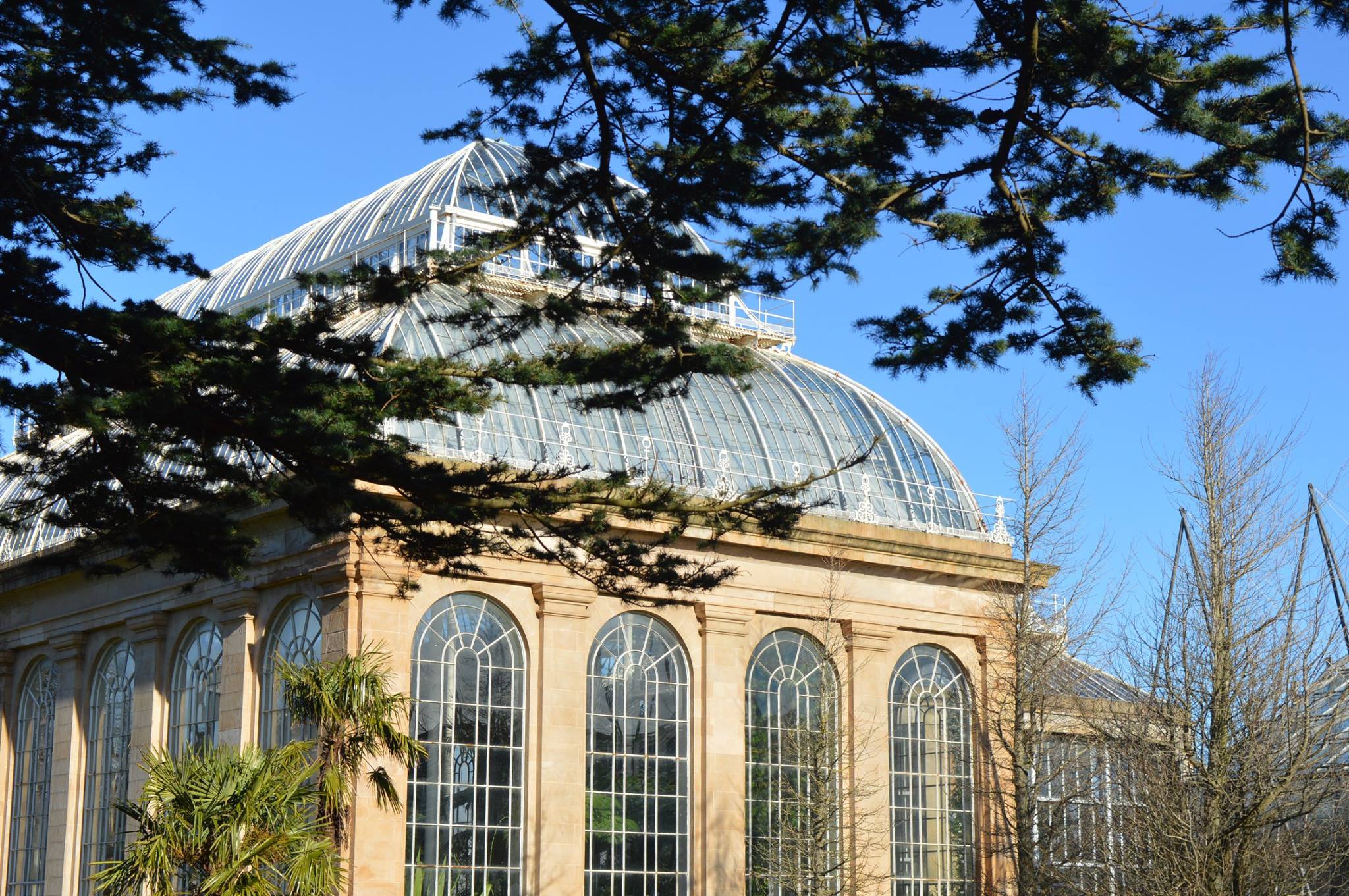 Giardino botanico Edimburgo