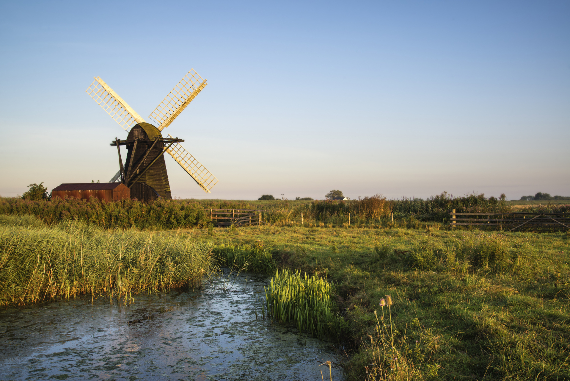 Il mulino di Thurne nel Norfolk circondato dai colori autunnali