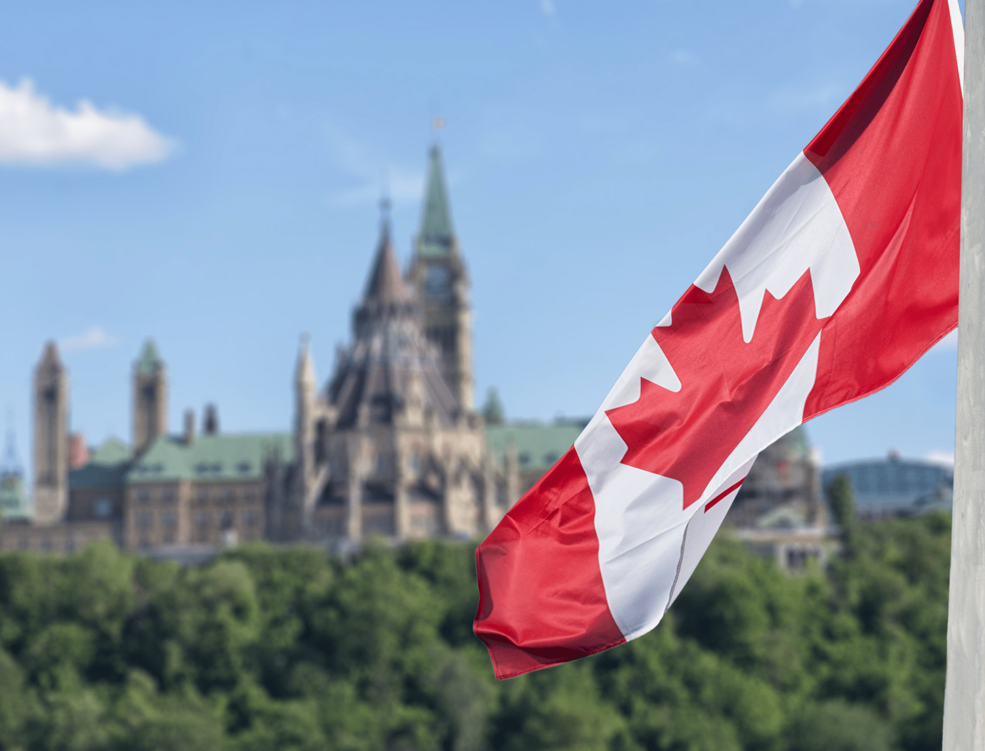 Toronto flag canada VSE Toronto