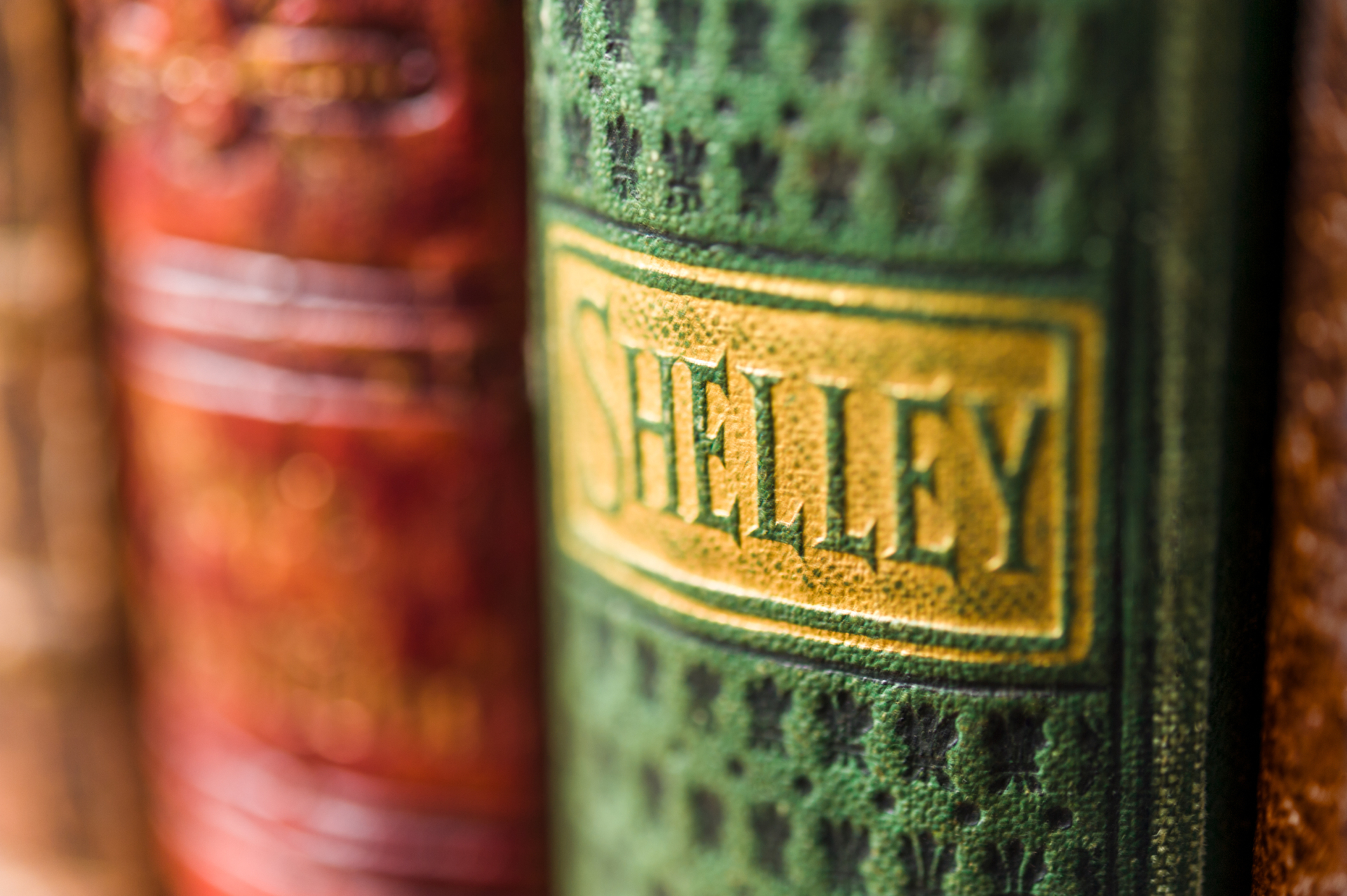 I 200 anni di Frankenstein Old books: Shelley