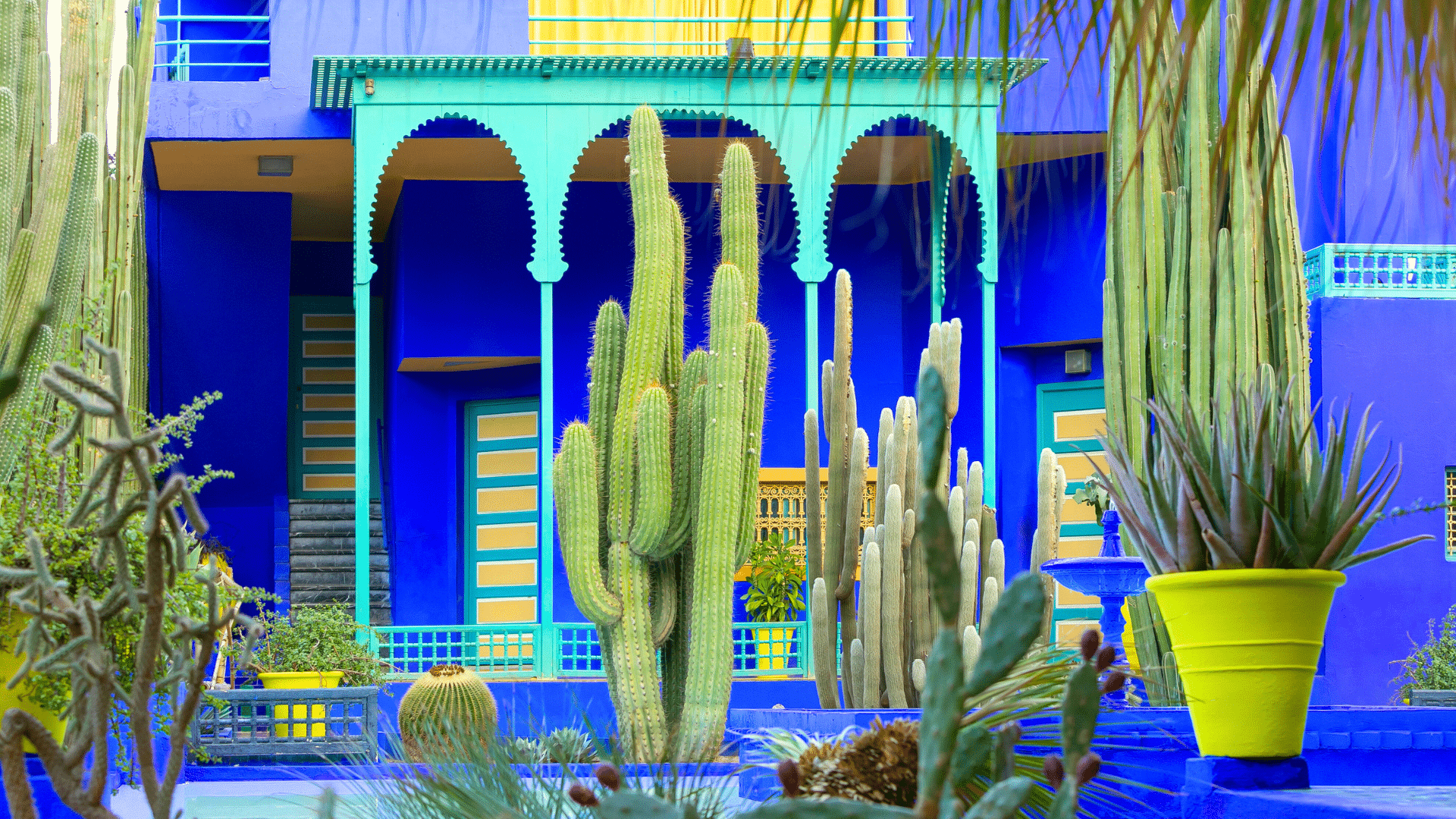 Guida ai 5 giardini più incredibili al mondo da visitare una volta nella vita Guida ai 5 giardini più incredibili al mondo da visitare una volta nella vita