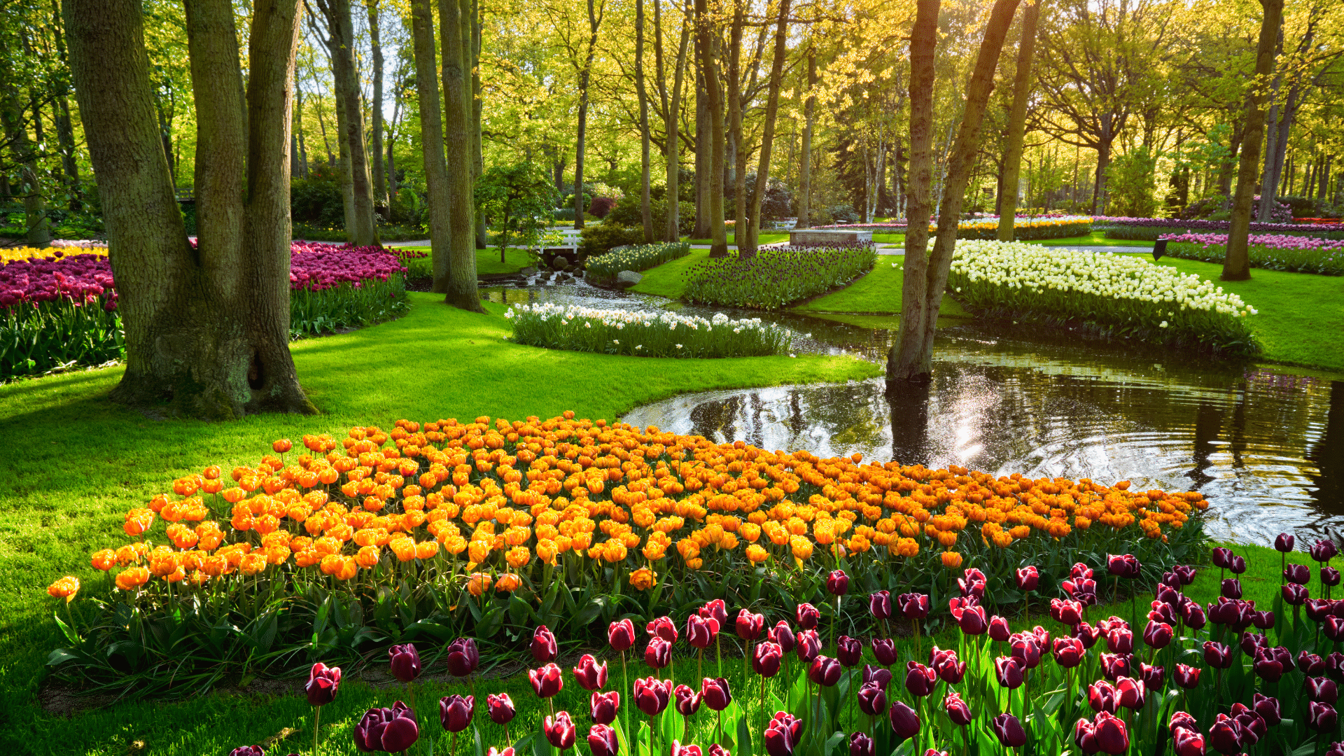 Guida ai 5 giardini più incredibili al mondo da visitare una volta nella vita Guida ai 5 giardini più incredibili al mondo da visitare una volta nella vita