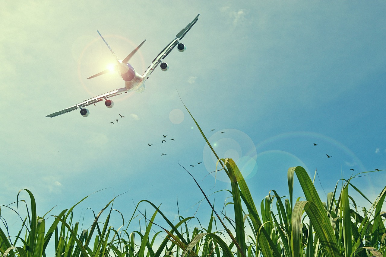 Perché l’aereo è il mezzo più sicuro al mondo Illustrazione di un aeroplano