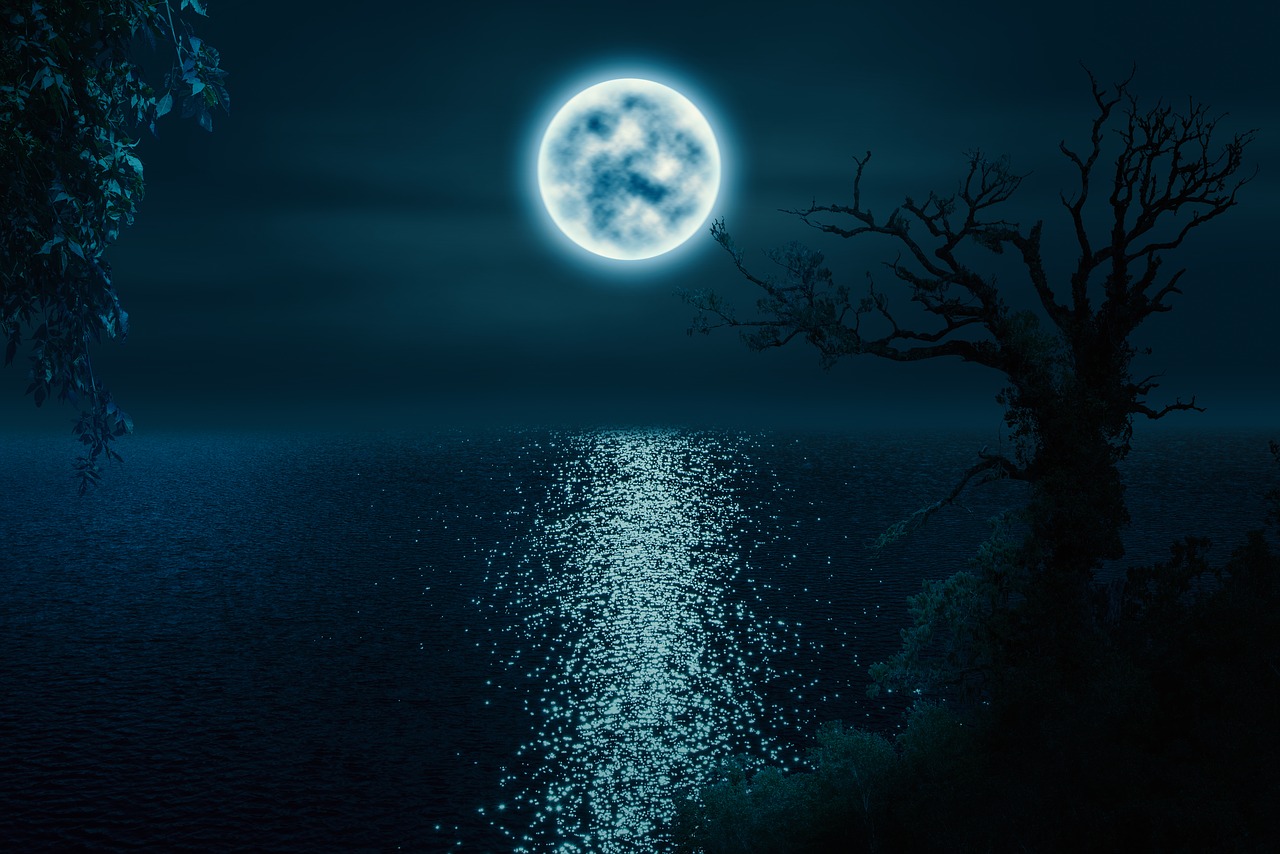 Aspettando Halloween con due autori horror: Edgar Allan Poe e Stephen King Alberi con chiaro di luna sul mare
