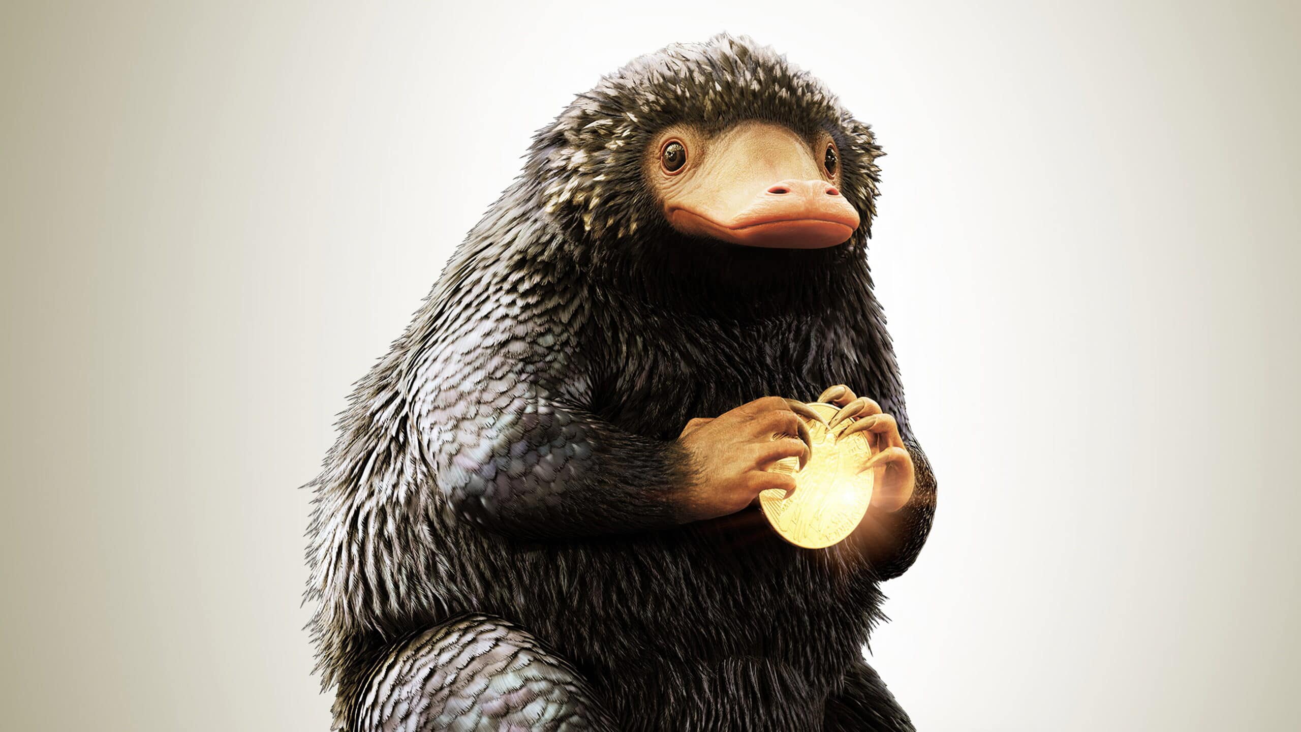 Lesson plan: “Animali fantastici e dove trovarli” Lesson plan: “Animali fantastici e dove trovarli”