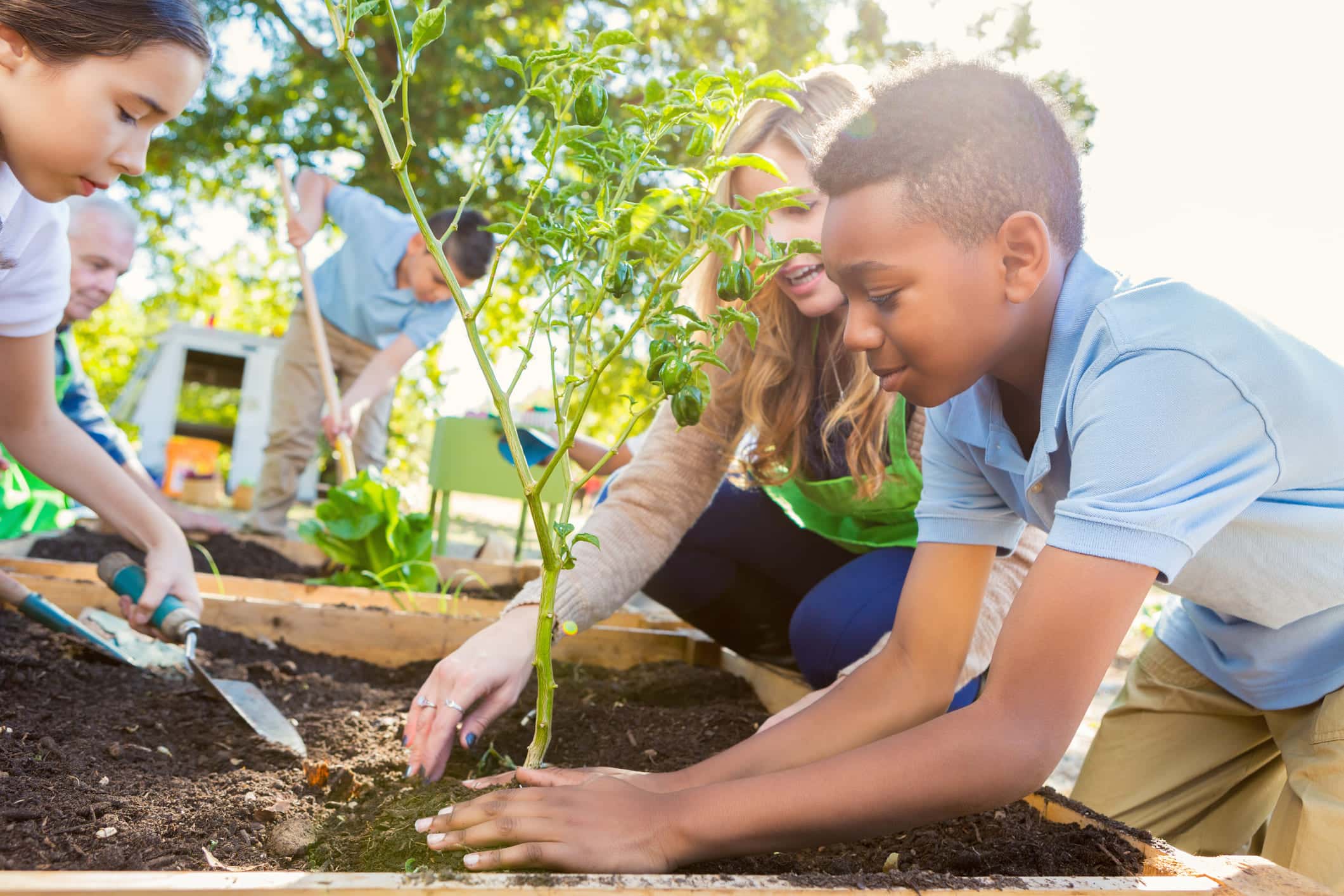Lesson plan: the Oxford Botanic Garden e la biodiversità Lesson plan: the Oxford Botanic Garden e la biodiversità