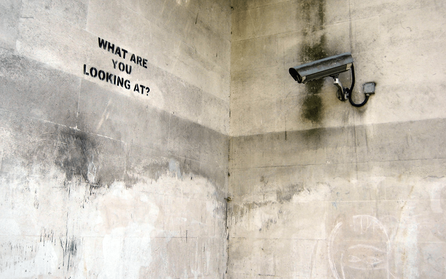 Dal Big Brother di George Orwell ai graffiti di Banksy Opera di Bansky what are you looking at ?