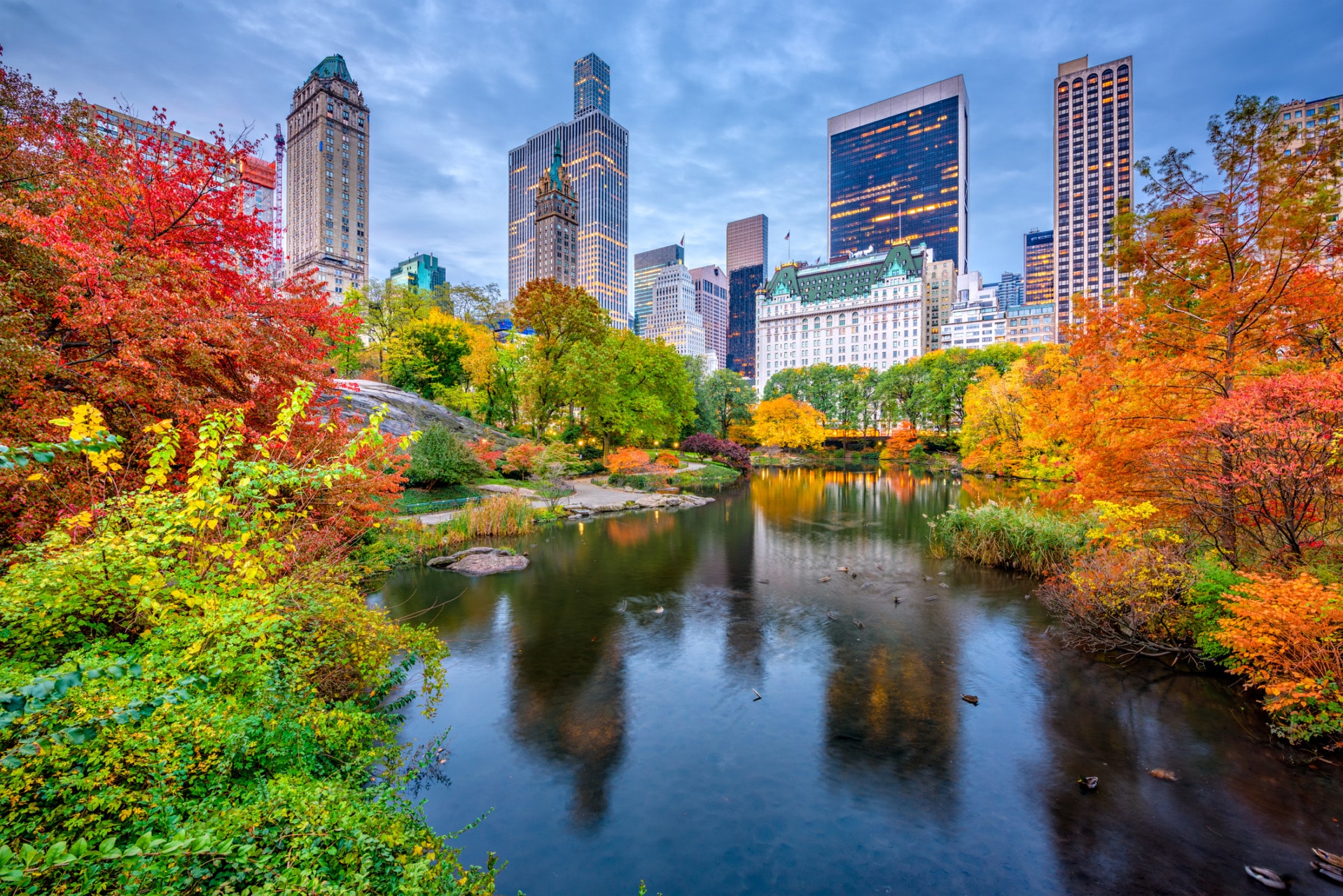 Un viaggio negli Stati Uniti con Walt Whitman Autunno Central Park NY
