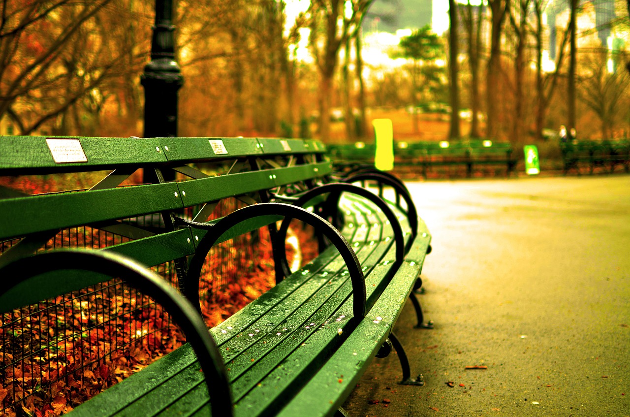 I parchi più belli di Londra e New York in autunno dove passeggiare Viale di central park con panchina