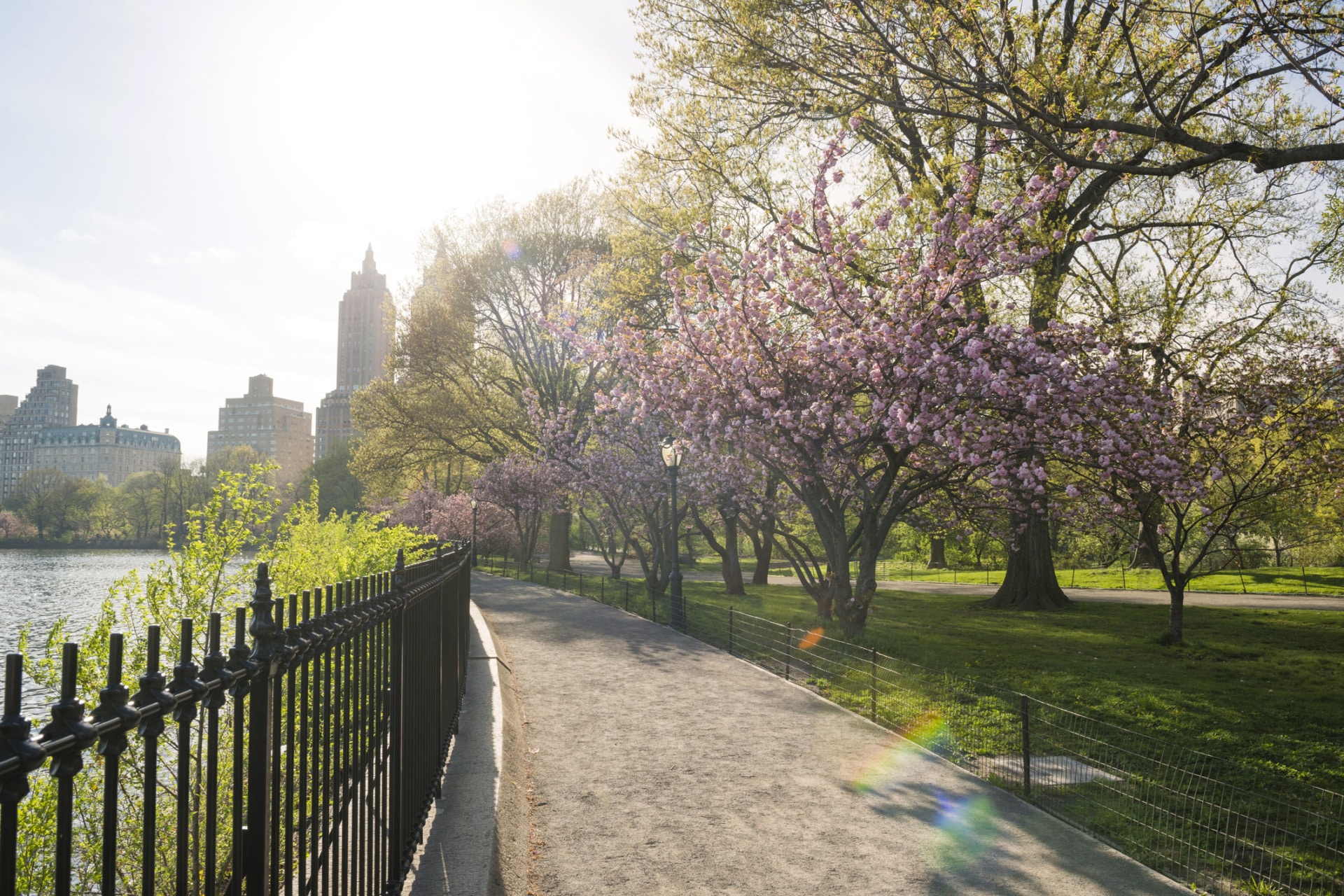 I luoghi più belli del mondo in primavera Central park in primavera