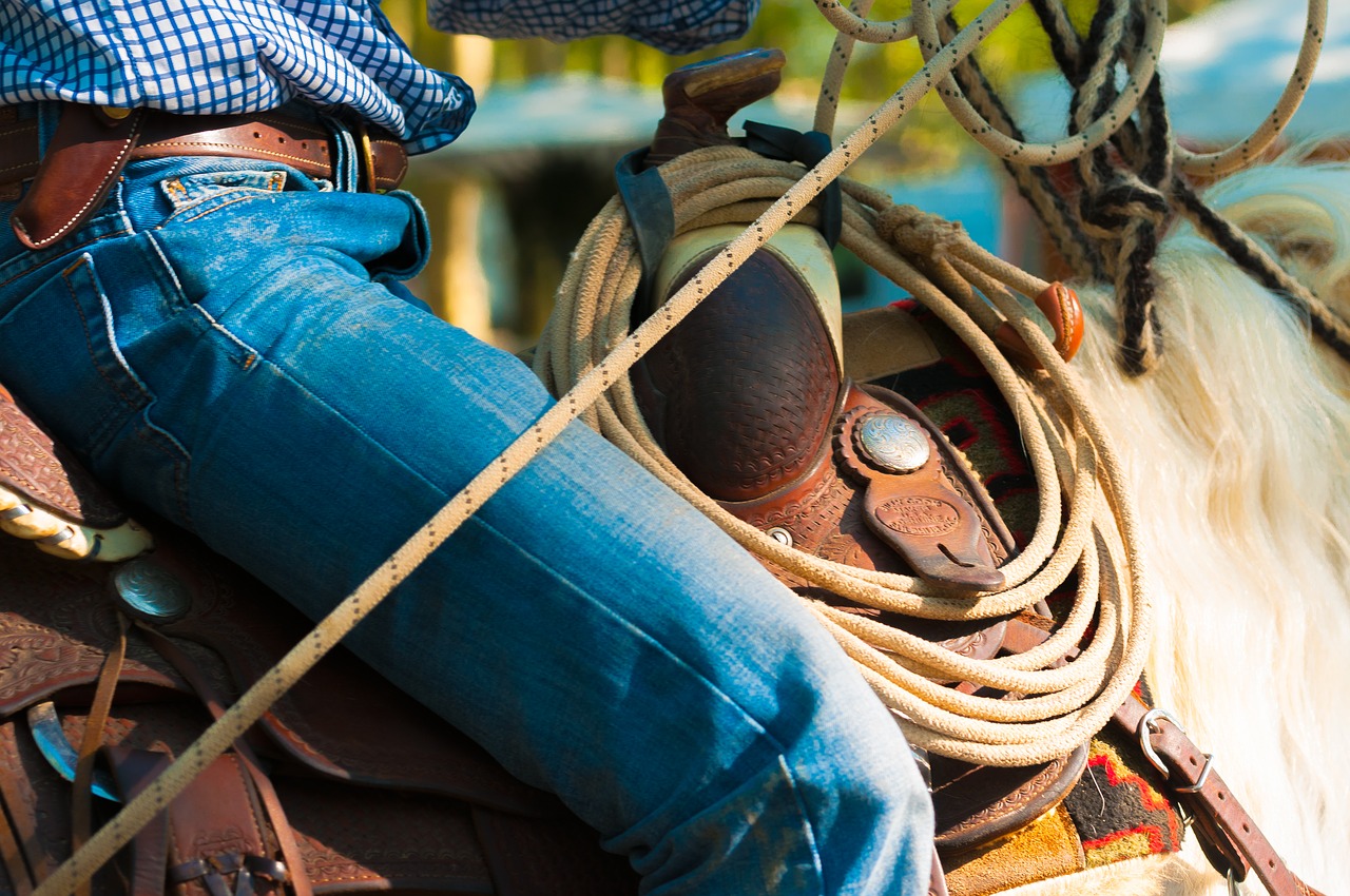 Scegli il tuo personaggio preferito e ti dirò quale vacanza studio sei Persona a cavallo