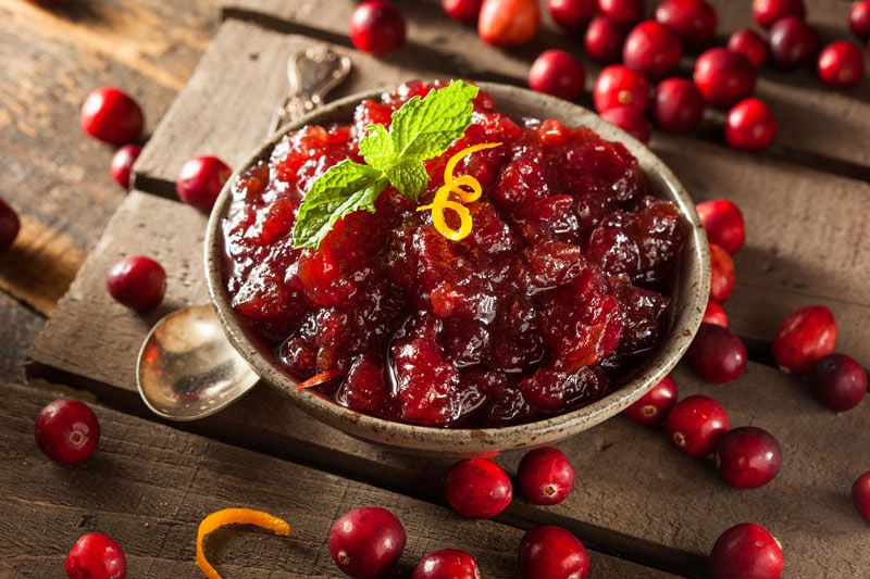 Piatti tipici della festa del ringraziamento Salsa di mirtilli rossi USA
