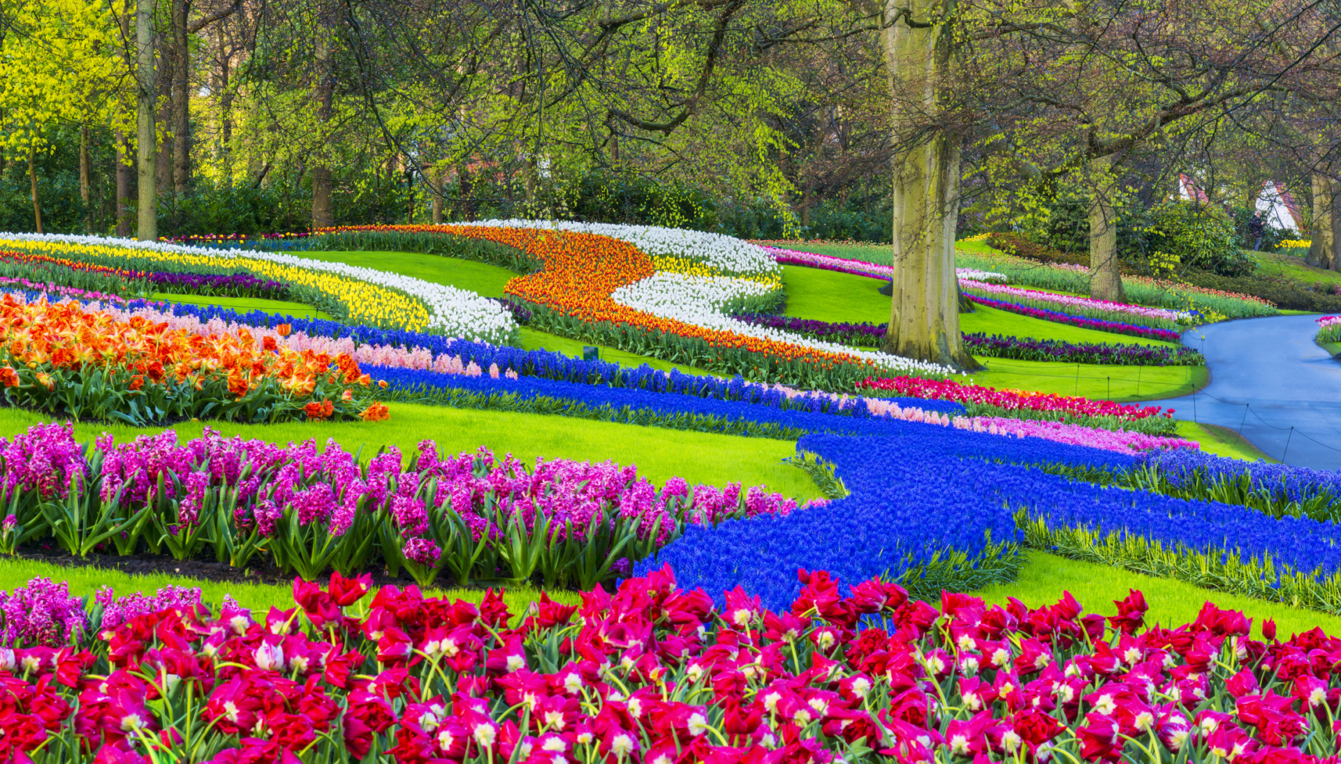 I luoghi più belli del mondo in primavera prati e fiori di Amsterdam