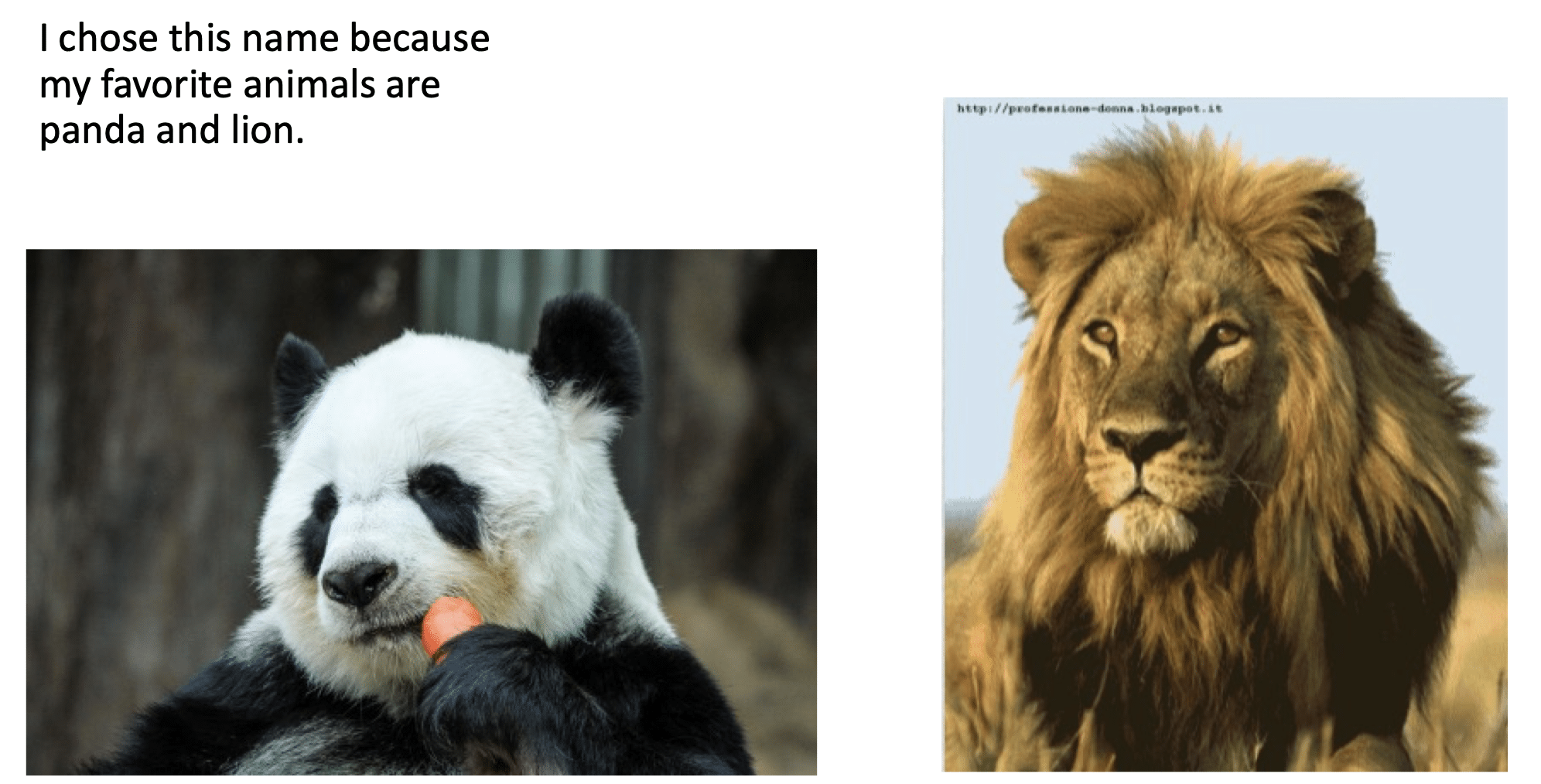 Lesson plan: “Animali fantastici e dove trovarli” Lesson plan: “Animali fantastici e dove trovarli”