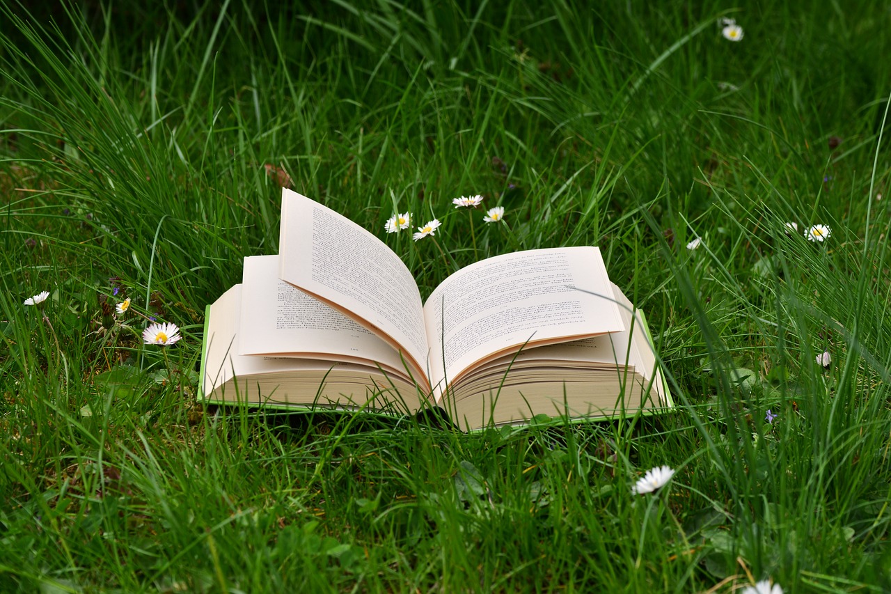 Collegamenti interdisciplinari tra la letteratura inglese e italiana libro aperto su un prato