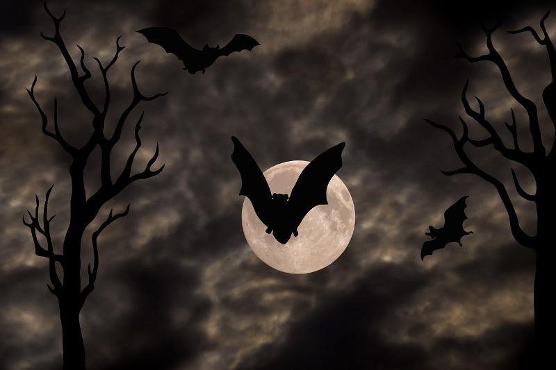 10 Curiosità su Halloween Luna piena con pipistrelli che volano