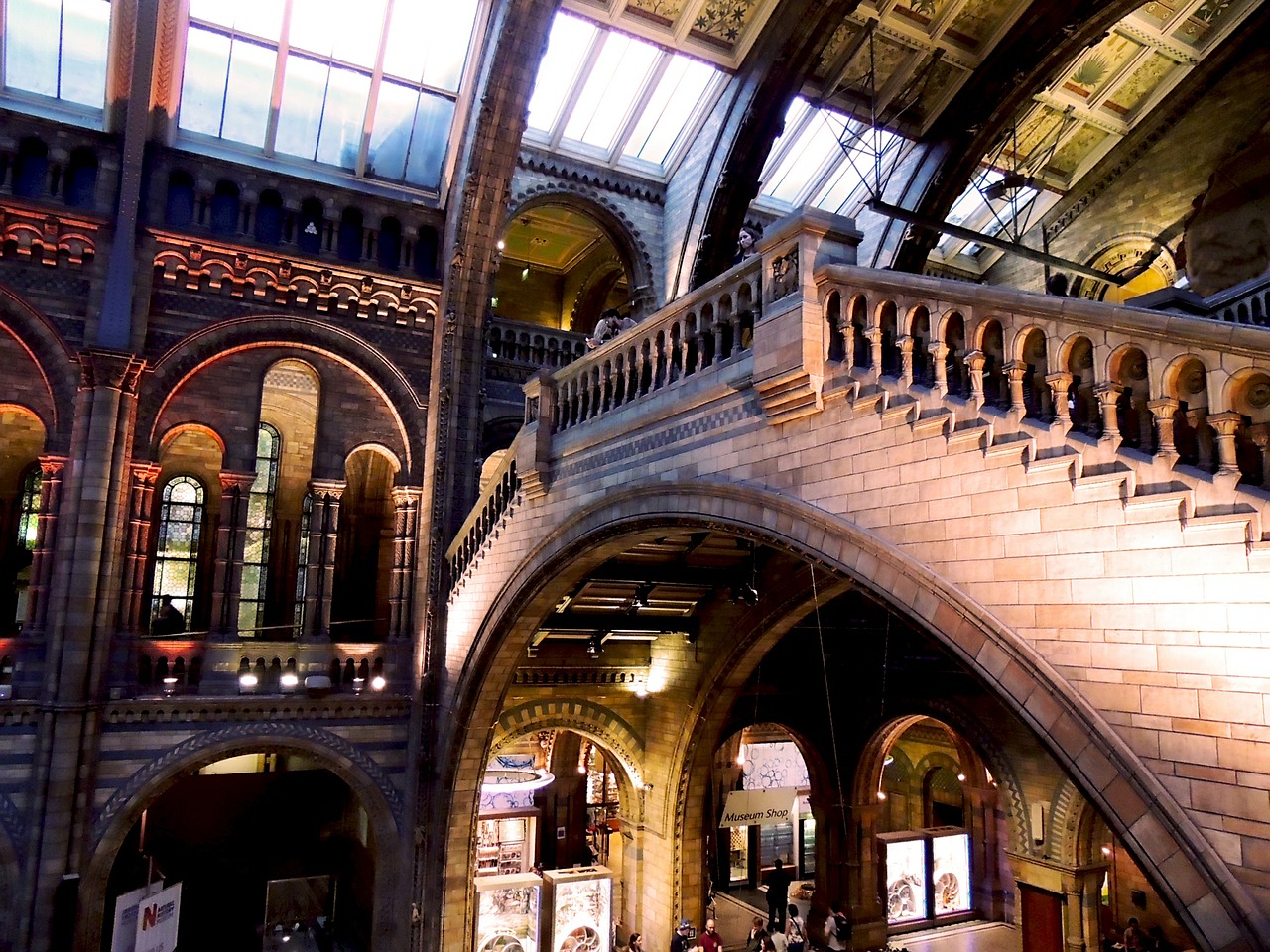 10 cose da fare gratis a Londra Museo di storia naturale a Londra