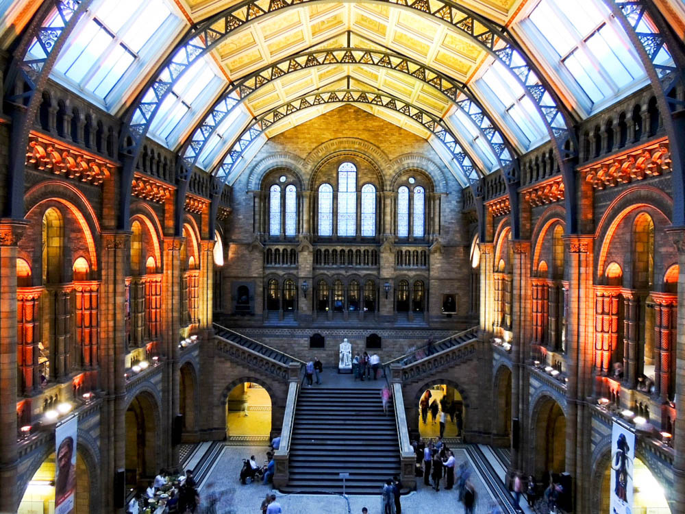 Londra: 10 attrazioni da non perdere Museo di storia naturale Londra
