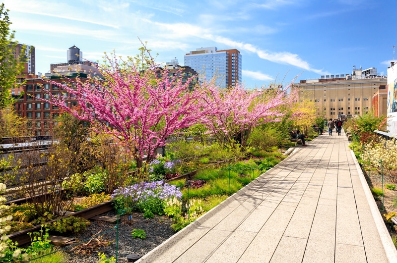12 Cose da fare gratis a New York New York Primavera con fiori