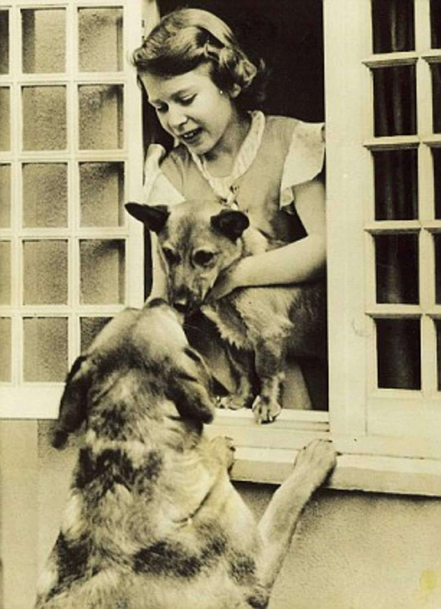 I cani della regina Elisabetta D’Inghilterra La regina Elisabetta da bambina con i suoi cani