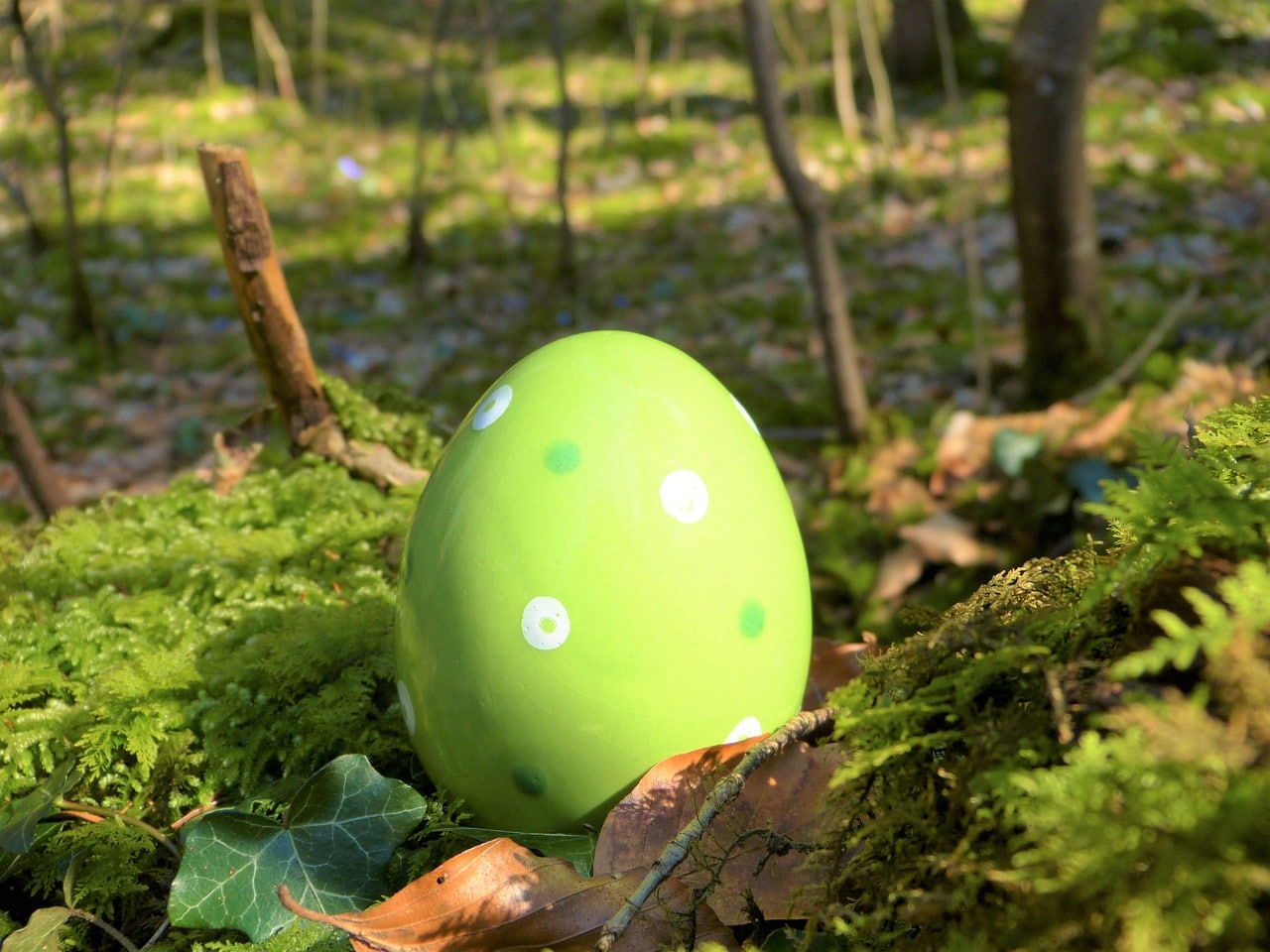 La Pasqua nel Regno Unito Uova di pasqua verde in mezzo a un bosco