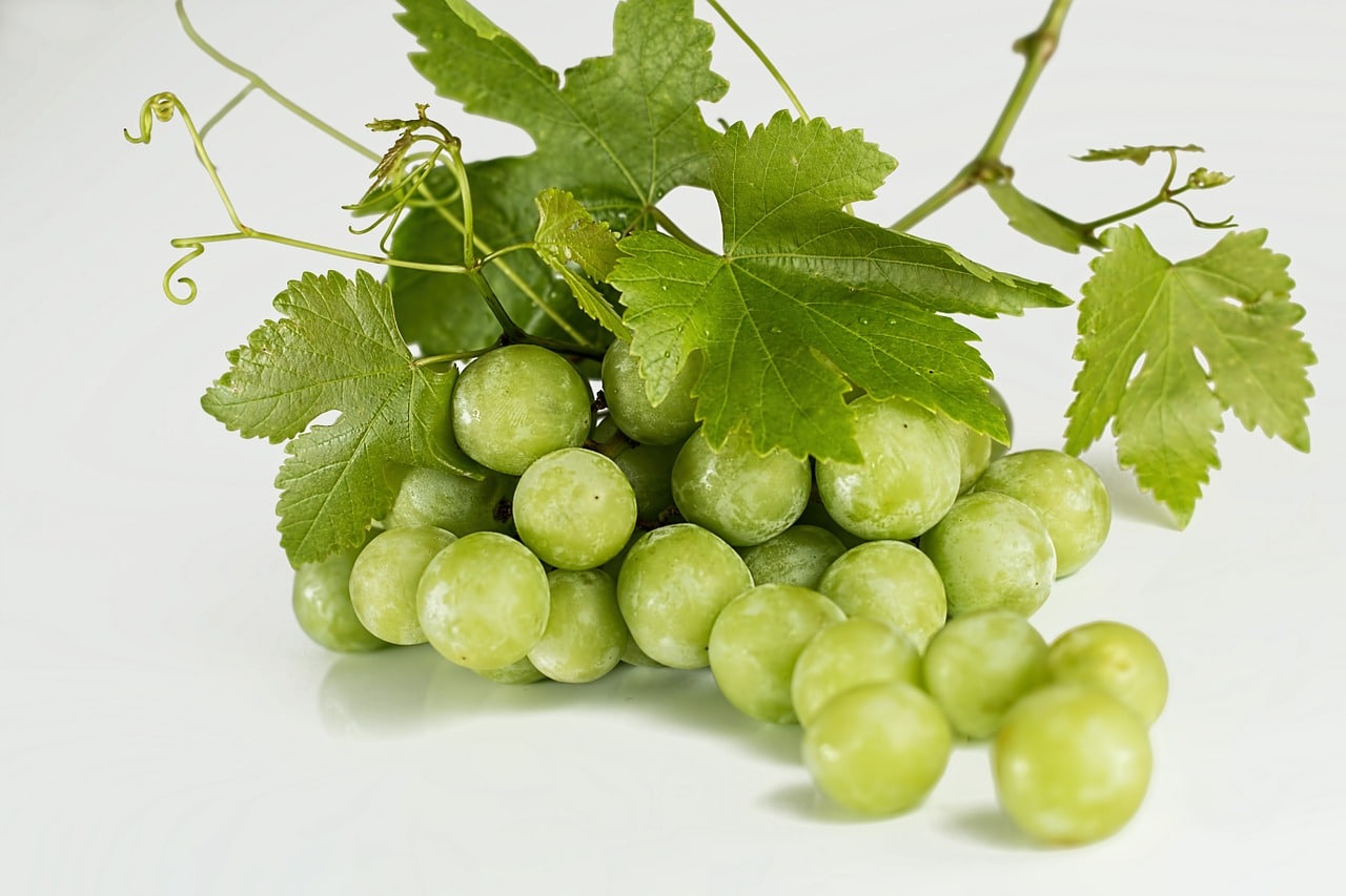 Riti propiziatori dal mondo per prepararsi al meglio al nuovo anno Grappolo di uva