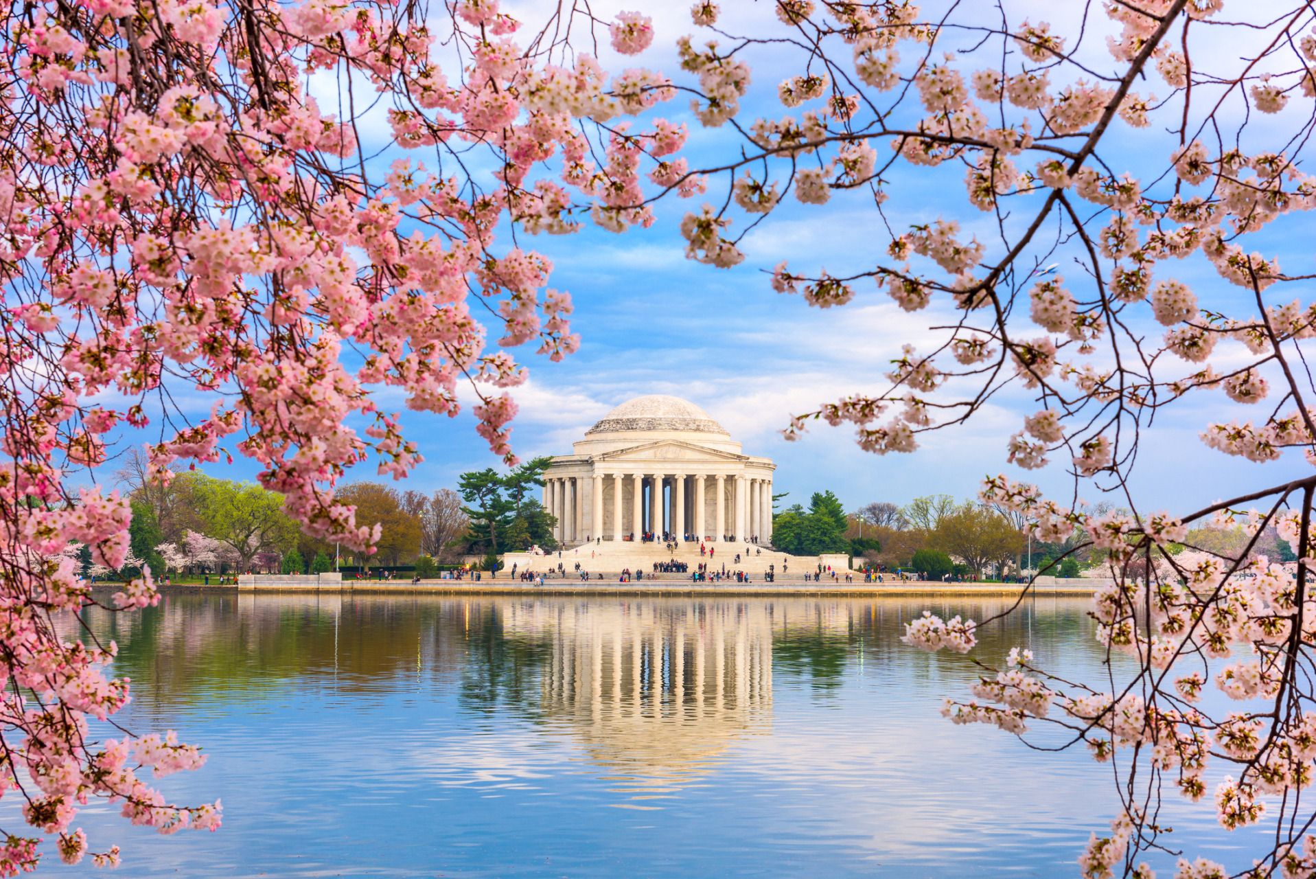 I luoghi più belli del mondo in primavera Fioritura dei ciliegi a Washington
