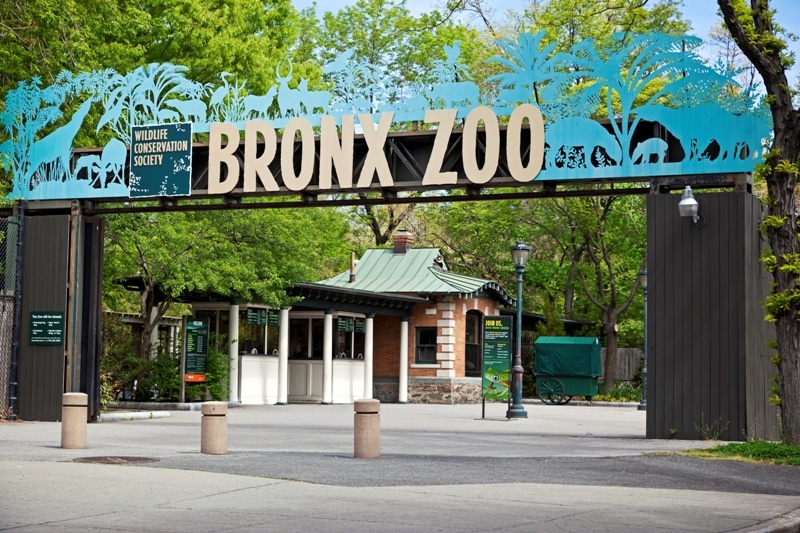12 Cose da fare gratis a New York Bronx Zoo New York
